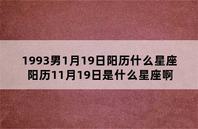 1993男1月19日阳历什么星座 阳历11月19日是什么星座啊